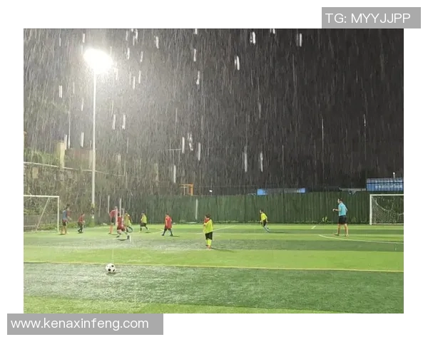 足球冲突背后的真相与影响探讨球场上的对抗与社会问题的交织